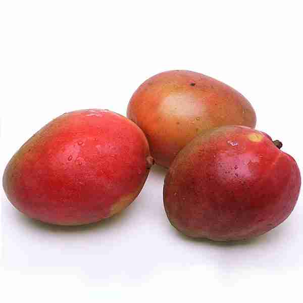 org-mango