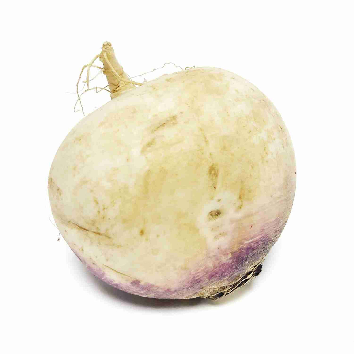 organic-produce-turnip