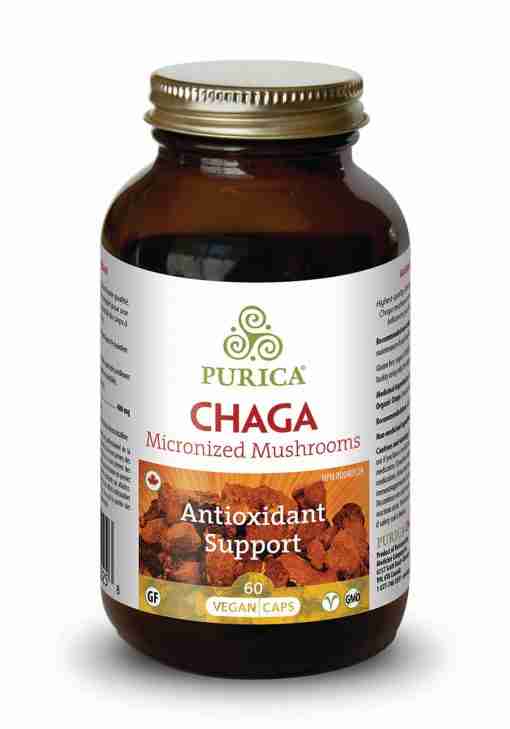 purica-chaga-60
