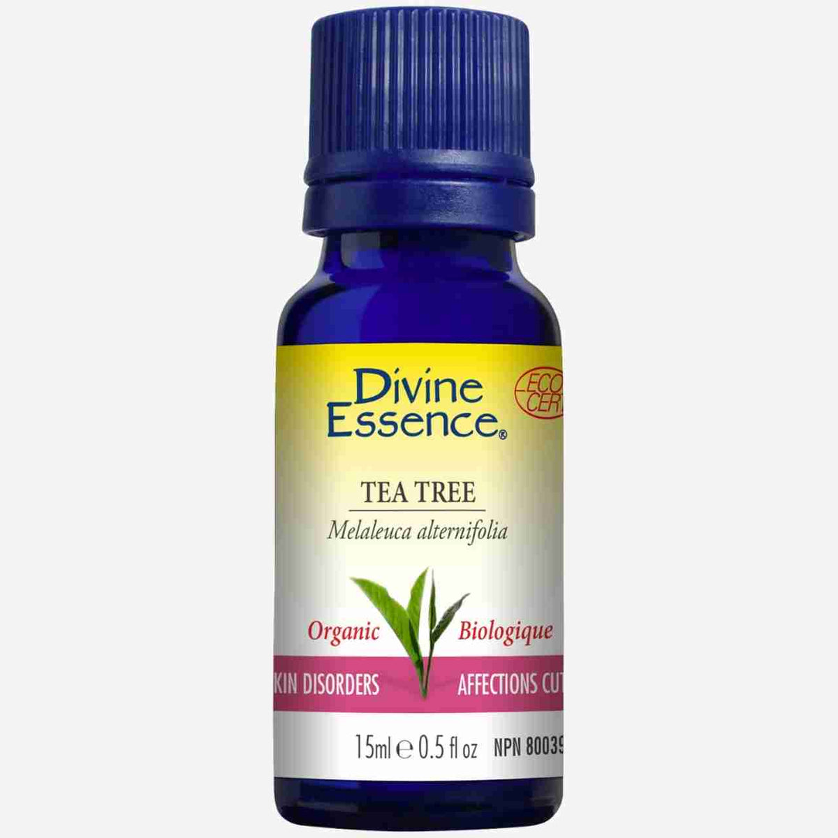 tea-tree-2