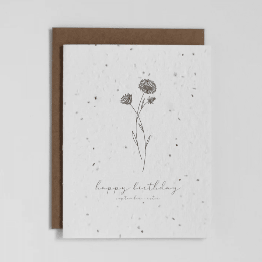 the-good-card-birth-flower-september-aster