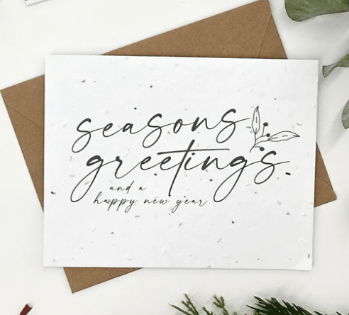 the-good-card-holiday-berry-branches-seasons-greetings