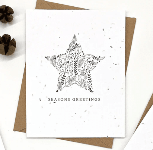 the-good-card-holiday-floral-frames-star