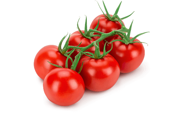 vine-tomato