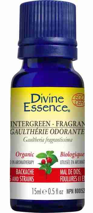 wintergreen