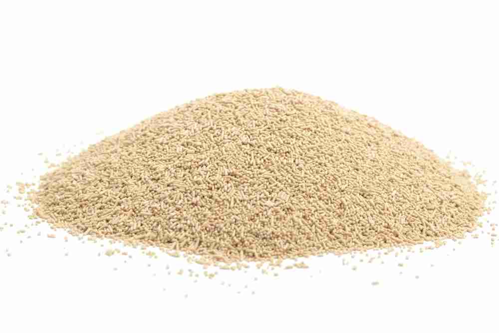 yeast-1
